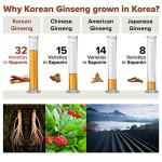 BTGIN Saponin Hanppuri Everyday Korean Red Panax Ginseng Extract Stick - 3000mg High Potency Liquid Supplement - Caffeine Free Energy & Immune Support - 30 Packets