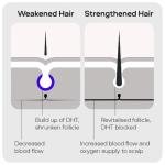 Sons Hair Growth Shampoo for Men. DHT Blocker. Thickening Formula Promotes Strong & Thick Regrowth. Contains Saw Palmetto, Argan Oil, Caffeine, & Rosemary. 3 Month Supply. Made in Europe.