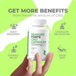 Reakiro Forte Fast-Acting CBD Soft Capsules 1200mg, 60pcs with BioForte Plus | 20mg Cannabidiol per Capsule | High Strength CBD Capsules | CBD Oil for Sleep, Stress & Anxiety Relief | CBD Edibles