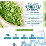 Green Tea Capsules - 12,480mg - 90 Capsules of Premium Extract - Contains Polyphenols, Catechins & EGCG - Powerful Antioxidant for Immune Health - not Green Tea Tablets - Made in UK