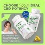 Reakiro Forte Fast-Acting CBD Soft Capsules 1200mg, 60pcs with BioForte Plus | 20mg Cannabidiol per Capsule | High Strength CBD Capsules | CBD Oil for Sleep, Stress & Anxiety Relief | CBD Edibles