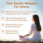 Purolabs Ashwagandha KSM-66® High Strength Capsules – Organic Ashwagandha with Black Pepper for Stress, Energy & Balance – Premium Tablets Alternative – 90 Vegan Capsules