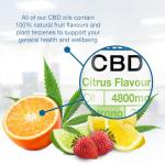 Access CBD Citrus CBD Oil 4800mg | Wellness Support | Daily Use | THC-Free | Extra Strong Strength CBD Spray | Natural Citrus Flavour | 30ml