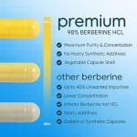 Berberine Supplement 90 Capsules, Flexible Dosage 500mg - 1000mg - 1500mg | 98% Pure Berberine HCL Clean High Strength | Blood Sugar Support, AMPK Metabolism, Heart & Gut Health, Vegan Non-GMO Vit&Me