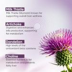 Vitaminnica Milk Thistle Complex | 80% Silymarin | High Strength Complex with Artichoke, Dandelion Root and Choline | 90 Capsules | 100% Vegan Supplement
