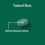 Nature's Best Siberian Ginseng 1500mg - Highly Researched Adaptogen - UK Made - 60 Tablets (2 Months' Supply)