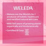 Weleda Period Pain Relief Oral Drops, Menstrual Cramps, with Melissa Cupro 3X - Lemon Balm, Homeopathic Product, Vegan, 25ml