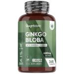 Ginkgo Biloba and Ginseng 6600mg - 365 Tablets - 1 Year Supply - 1 Tablet a Day - with Flavone Glycosides and Terpene Lactones - Vegan & Non-GMO - Ginseng and Ginkgo Biloba Complex Herbal Supplement