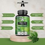 Green Tea Extract 500mg, Contains 50% EGCG and 98% Polyphenols, 120 Vegan Capsules, 4 Months Supply, Camellia sinensis Tea Extract, Metabolic and Antioxidant Support - by Apollo's Hegemony