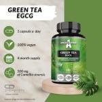 Green Tea Extract 500mg, Contains 50% EGCG and 98% Polyphenols, 120 Vegan Capsules, 4 Months Supply, Camellia sinensis Tea Extract, Metabolic and Antioxidant Support - by Apollo's Hegemony