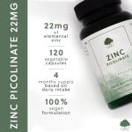 Zinc Picolinate - 22mg Elemental Zinc - 120 Vegan Capsules - Chelated for Improved Absorption - Non-GMO, Made in The UK - G&G Vitamins
