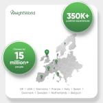 Ginkgo Biloba and Ginseng 6600mg - 365 Tablets - 1 Year Supply - 1 Tablet a Day - with Flavone Glycosides and Terpene Lactones - Vegan & Non-GMO - Ginseng and Ginkgo Biloba Complex Herbal Supplement