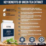 Green Tea Extract 500mg (30:1, 12,480mg Equivalent) – 90 Capsules | High Strength with EGCG & Polyphenols | UK-Made Supplement