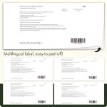 Swanson, Green Tea, 500mg, 100 Capsules, High-Dose, SOYA-Free, Gluten-Free, GMO-Free