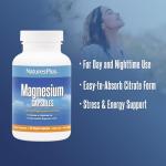 NaturesPlus Magnesium Supplement - 400mg Active Magnesium Citrate Supplement - Energy and Stress Relief for Mind and Body - Vegan, Gluten Free - 120 Capsules