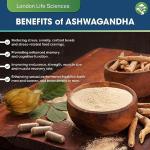 London Life Sciences Organic Vegan Ashwagandha KSM-66 90 Capsules - (Highest Concentration) 2000mg Servings & 5% Withanolides - Best Bioavailabili