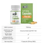 CBDfx 750mg CBD High Strength Broad Spectrum Soft Gel CBD Capsules, 25mg CBD per Capsule, Organic, Gluten-Free, 30 Capsules in Total (15-30 Days)