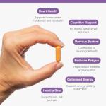 Metagenics High Strength Vitamin B Complex - Reduction of Tiredness and Fatigue - Supplement with Folate, Vitamin B6 + B12, Inositol & Choline - 90 Capsules