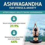 Applied Nutrition Ashwagandha KSM-66 - Premium Ashwagandha Herbal Supplement for Energy, Anxiety, Stress, Made in The UK (60 Capsules)