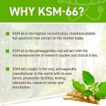 Applied Nutrition Ashwagandha KSM-66 - Premium Ashwagandha Herbal Supplement for Energy, Anxiety, Stress, Made in The UK (60 Capsules)