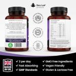 Multivitamin Gummies High Strength for Men Women - Vegetarian +14 Essential Vitamins & Minerals - Gluten Free, Non-GMO Multi Vitamins Chewable Adults Vitamin C A D E B12 B6 & Biotin, Zinc & Iodine