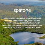 Spatone 100% Natural Iron Supplement (28 Sachets), Daily Convenient Liquid Iron Sachets, Nothing Artificial, Better Absorption than Tablets, Less Side Effects, Original Flavour