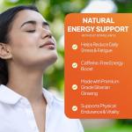 Siberian Ginseng Tablets | Supports Mental Performance & Reduces Fatigue | Suitable for Vegans and Vegetarians | 360 Tablets = 6 Months’ Supply | Made in The UK in Accordance with GMP Standards