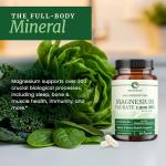 Magnesium Taurate 1900MG | Heart Health & Nervous System Support | 150MG Elemental Magnesium Per Serving | High Absorption Mag Taurate with Vitamin B6 & BioPerine | Non-GMO | 60 Ct (1 Month Supply)