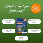 Zipvit Ginkgo Biloba 6000mg & Siberian Ginseng 600mg with Vitamins B3 & B5 Pouch, 120 Vegan Tablets, Supports Energy & Mental Performance, 4 Month Supply