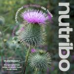 Milk Thistle 10,520mg with Dandelion Root and Artichoke | 2 Month Supply | 60 Vegan Capsules | Milk Thistle 3-in-1 | No Fillers, Binders or Additives | Made in The United Kingdom