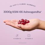 TRIP Ashwagandha Gummies, Cherry, High Strength, 9,000MG KSM-66 Ashwagandha per Pack (60 Gummies), with Vitamin B6, B12 & D2 – Vegan