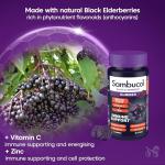 SAMBUCOL IMMUNO FORTE GUMMIES, 30 Count (Pack of 1)