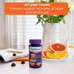 SAMBUCOL IMMUNO FORTE GUMMIES, 30 Count (Pack of 1)