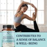 Magnesium Ashwagandha | Stress Relief & Rest for Adults | Relax, Reset, Support Calm Mood & Muscle Health with Magnesium Citrate & Oxide 400 mg + Ashwagandha 500 mg | Calming Supplements | 120 Ct