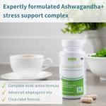 Igennus Advanced Ashwagandha KSM-66 Stress Support Complex 600mg with L-Theanine & Magnesium, B-Vitamins & Zinc, Clean Label, Root-only Extract 5% Withanolides, Vegan, 30 Servings