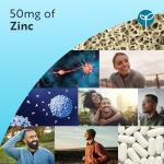 Nutravita Zinc Tablets 50mg – 120 High Strength Vegan Tablets (4 Months Supply) – Highly Absorbable Zinc Supplements for Maintenance of Normal Immune System, Bones, Hair, Skin & Nails – Made in UK