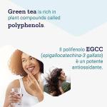 Life Extension, Mega Green Tea Extract, 725mg, Decaffeinated, 100 Vegan Capsules, Lab-Tested, Vegetarian, Gluten-Free, Soy-Free, Non-GMO