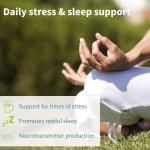 Igennus Advanced Ashwagandha KSM-66 Stress Support Complex 600mg with L-Theanine & Magnesium, B-Vitamins & Zinc, Clean Label, Root-only Extract 5% Withanolides, Vegan, 30 Servings