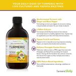 Turmeric Curcumin with BioCultures & Enzymes - Fermented High Strength Liquid Turmeric Supplement with Black Pepper & Ginger Equivalent to 2 Turmeric Capsules - Pineapple Passionfruit