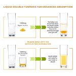 Turmeric Curcumin with BioCultures & Enzymes - Fermented High Strength Liquid Turmeric Supplement with Black Pepper & Ginger Equivalent to 2 Turmeric Capsules - Pineapple Passionfruit