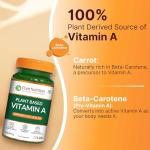 Pure Nutrition Plant-Based Vitamin A Beta Carotene, 4934iu, Skin, Eye and Immune Health Support | Non GMO