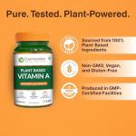 Pure Nutrition Plant-Based Vitamin A Beta Carotene, 4934iu, Skin, Eye and Immune Health Support | Non GMO