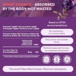 Iron Bisglycinate 30 mg – High Dose & Well Tolerated – High Absorption Iron Supplement – 120 Vegan Capsules – EU Lab Tested (1 Pack)