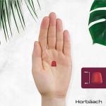 Multivitamin Gummies for Adults | 120 Count | Strawberry Flavoured | 14 Key A-Z Nutrients | with Vitamin A, B12, C, D, and Zinc | Vegan | by Horbaach