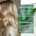 Rosemary Saw Palmetto Shampoo & Conditioner Set – Advanced 2% Actives DHT Blocking Formula, Vegan, SLS & SLES Free, pH Balanced, Unscented, For Scalp Health, Hair Growth, Thinning Hair & Volume, 500ml
