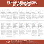 KSM-66 Ashwagandha and Lions Mane Tablets - High Strength 2200mg | KSM-66 Ashwagandha Root Extract and Lions Mane Mushroom Extract - 120 Vegan Tablets with Black Pepper - UK Made by Prowise