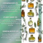 Rosemary & Saw Palmetto Shampoo, Natural DHT Blocker - Intense Strength, Growth & Thickening Vegan Cleanse. Revitalise Hair & Scalp Health, Rich Aloe Vera & Chamomile, SLS, SLES & Paraben-Free, 250ml