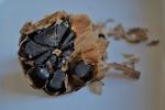 Organic Peeled Black Garlic Aged FULL 90 Days, Vegan, GMO Free, Gluten Free 80gr