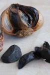 Organic Peeled Black Garlic Aged FULL 90 Days, Vegan, GMO Free, Gluten Free 80gr