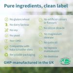 Igennus Chelated Iron Bisglycinate 20mg with Vitamin C, 180 Tablets, 6 Month Supply, Clean Label, Gentle Formula & Targeted Release, One Daily, for Women & Men, Vegan, by Igennus